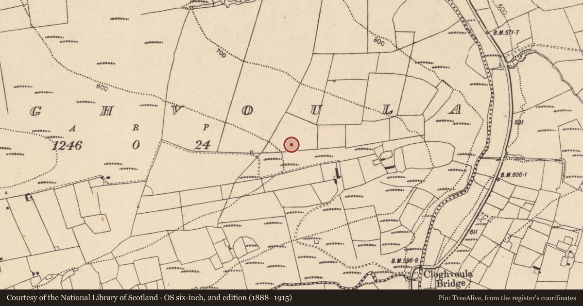 Ordnance Survey six-inch map, 2nd edition (1888–1915) covering the location of Fulacht fia, Cloghvoula, County Cork, with a pin at the register's coordinates