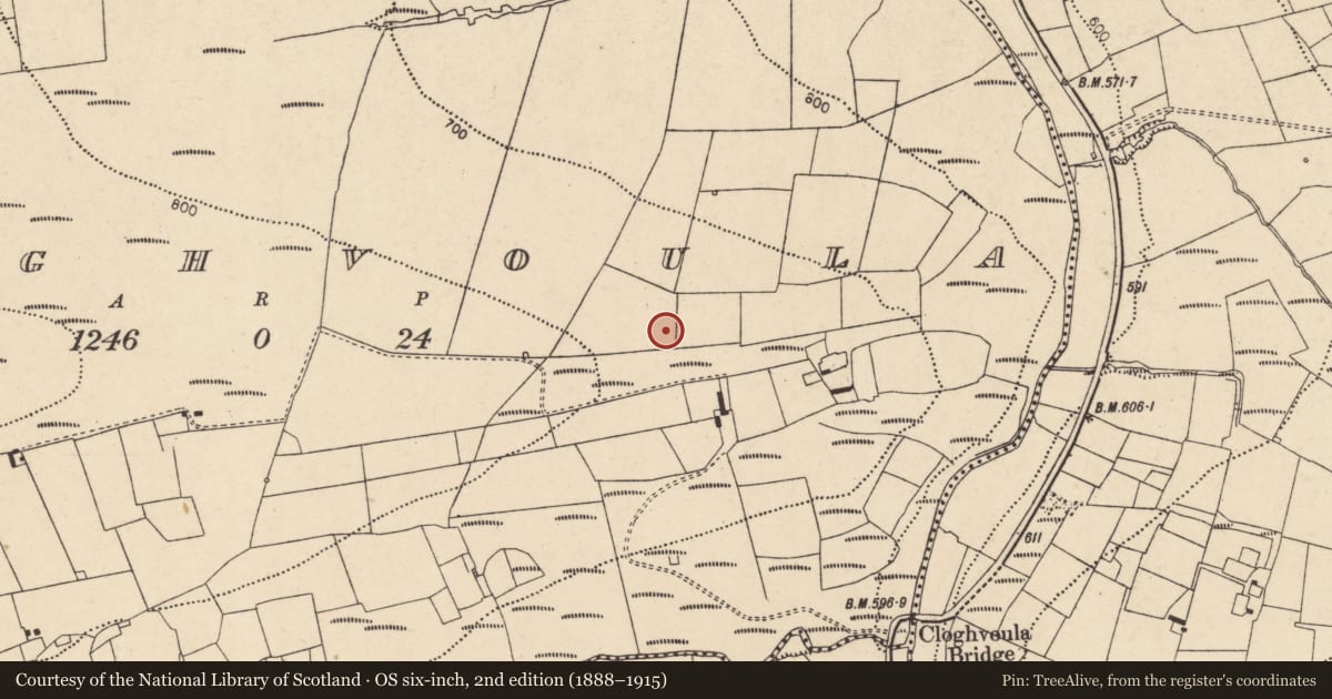 Ordnance Survey six-inch map, 2nd edition (1888–1915) covering the location of Fulacht fia, Cloghvoula, County Cork, with a pin at the register's coordinates