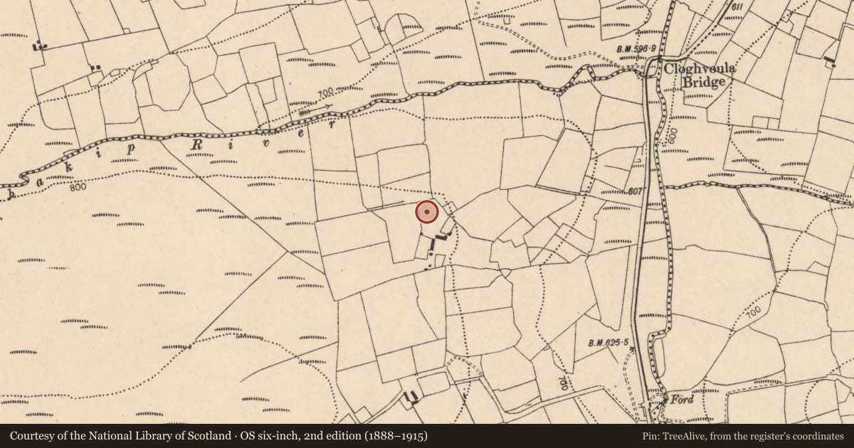 Ordnance Survey six-inch map, 2nd edition (1888–1915) covering the location of Fulacht fia, Cappaphaudeen, County Cork, with a pin at the register's coordinates