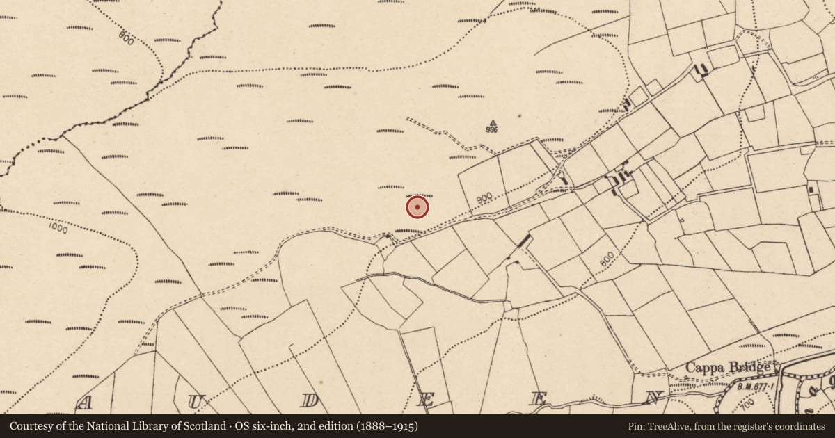 Ordnance Survey six-inch map, 2nd edition (1888–1915) covering the location of Standing stone, Cappaphaudeen, County Cork, with a pin at the register's coordinates