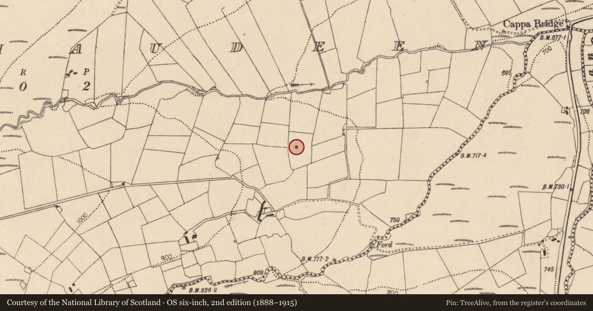 Ordnance Survey six-inch map, 2nd edition (1888–1915) covering the location of Cairn - unclassified, Cappaphaudeen, County Cork, with a pin at the register's coordinates