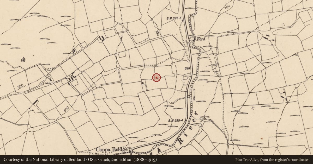 Ordnance Survey six-inch map, 2nd edition (1888–1915) covering the location of Standing stone, Cappaphaudeen, County Cork, with a pin at the register's coordinates