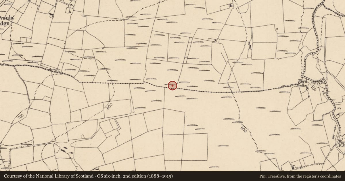 Ordnance Survey six-inch map, 2nd edition (1888–1915) covering the location of Standing stone, Knockaclarig, County Cork, with a pin at the register's coordinates