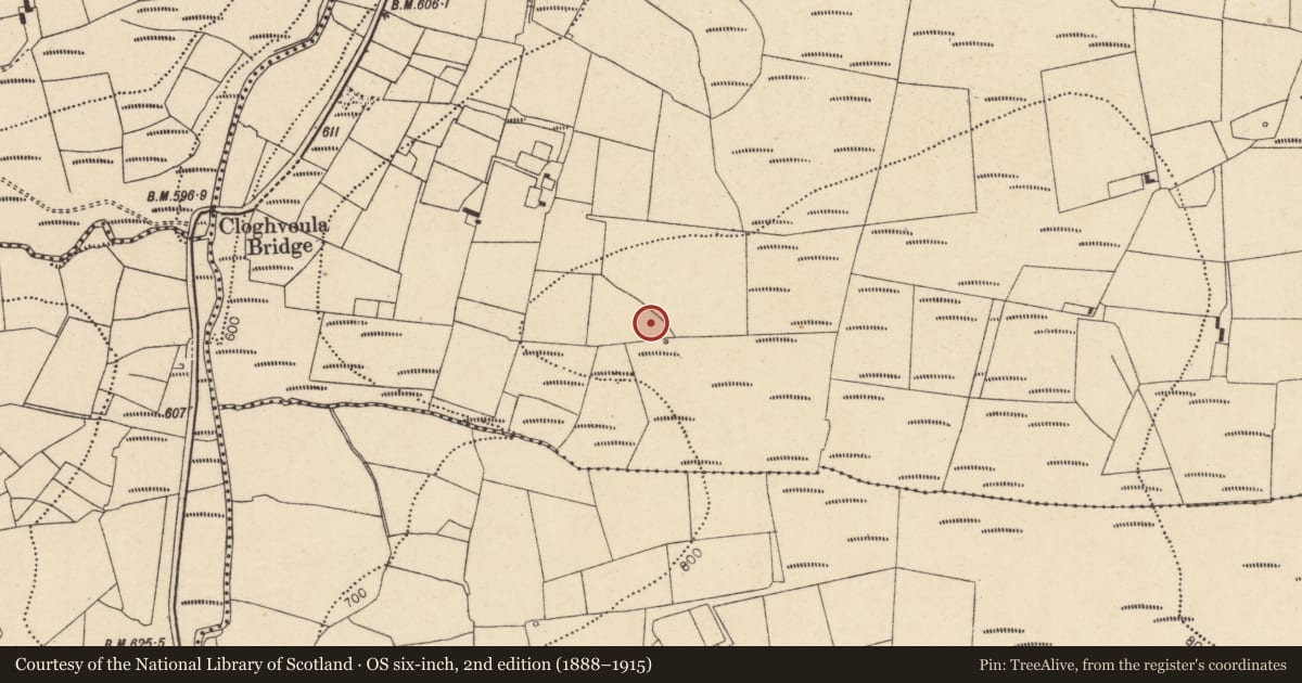 Ordnance Survey six-inch map, 2nd edition (1888–1915) covering the location of Hospital, Knockaclarig, County Cork, with a pin at the register's coordinates
