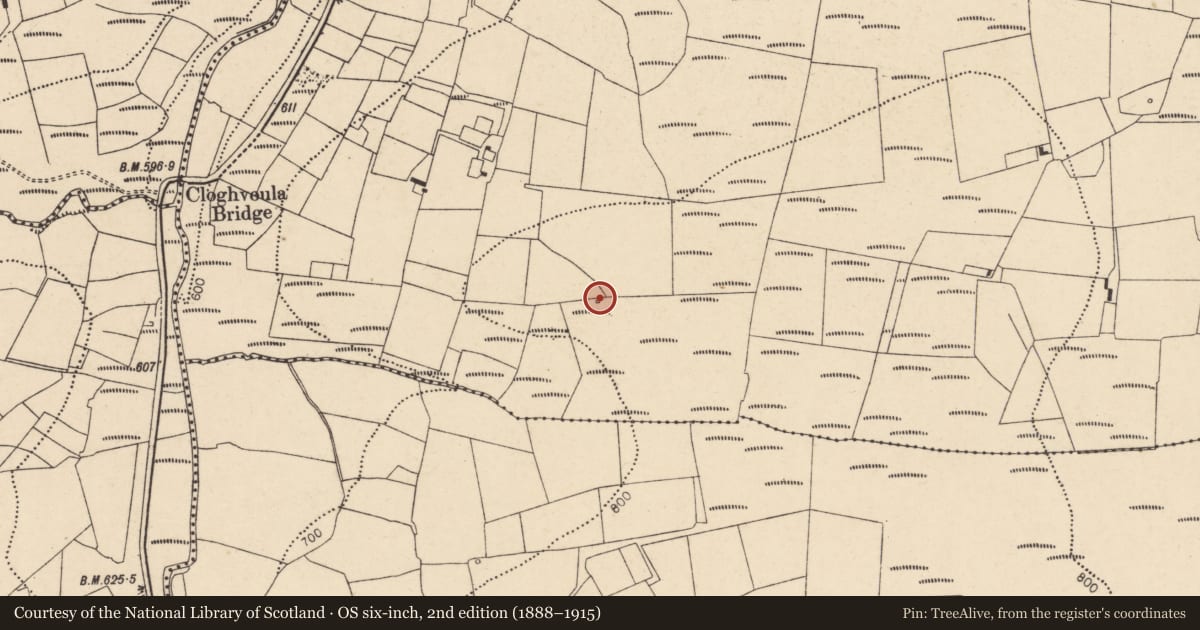 Ordnance Survey six-inch map, 2nd edition (1888–1915) covering the location of Church, Knockaclarig, County Cork, with a pin at the register's coordinates
