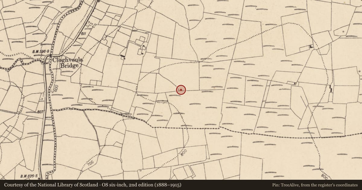 Ordnance Survey six-inch map, 2nd edition (1888–1915) covering the location of Burial, Knockaclarig, County Cork, with a pin at the register's coordinates