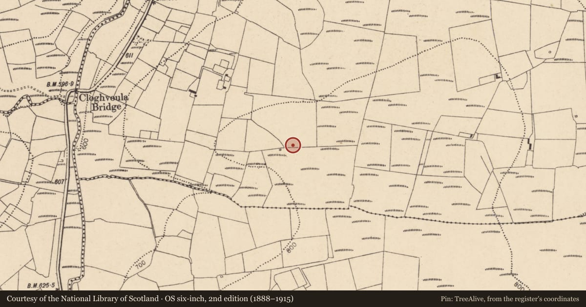 Ordnance Survey six-inch map, 2nd edition (1888–1915) covering the location of Stone row, Knockaclarig, County Cork, with a pin at the register's coordinates