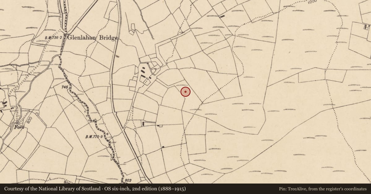 Ordnance Survey six-inch map, 2nd edition (1888–1915) covering the location of Kiln - lime, Tooreenfineen, County Cork, with a pin at the register's coordinates