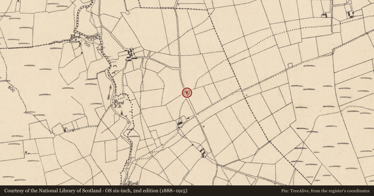 Ordnance Survey six-inch map, 2nd edition (1888–1915) covering the location of Kiln - lime, Glennakeel West, County Cork, with a pin at the register's coordinates