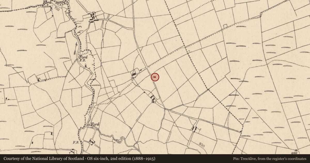 Ordnance Survey six-inch map, 2nd edition (1888–1915) covering the location of Kiln - lime, Glennakeel West, County Cork, with a pin at the register's coordinates