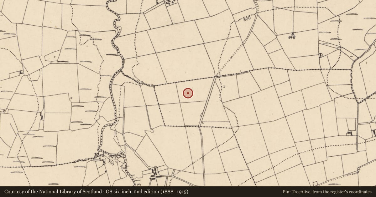 Ordnance Survey six-inch map, 2nd edition (1888–1915) covering the location of Fulacht fia, Glennakeel South, County Cork, with a pin at the register's coordinates