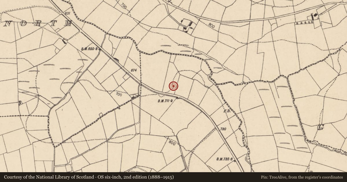 Ordnance Survey six-inch map, 2nd edition (1888–1915) covering the location of Kiln - lime, Glennakeel South, County Cork, with a pin at the register's coordinates
