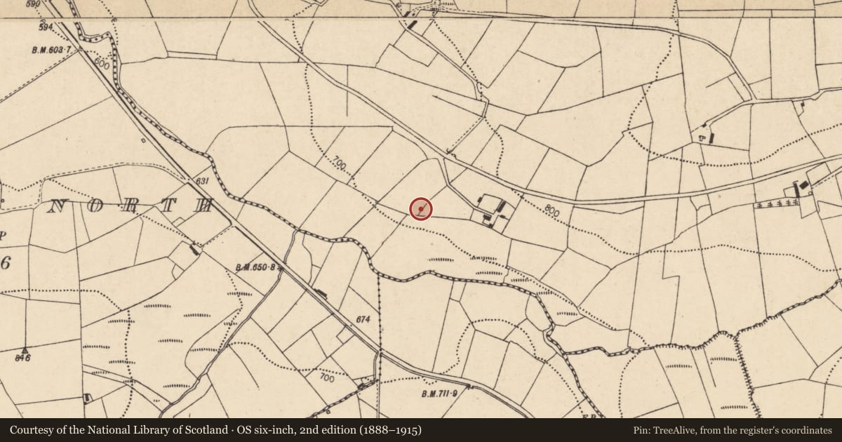 Ordnance Survey six-inch map, 2nd edition (1888–1915) covering the location of Fulacht fia, Glenacarney, County Cork, with a pin at the register's coordinates