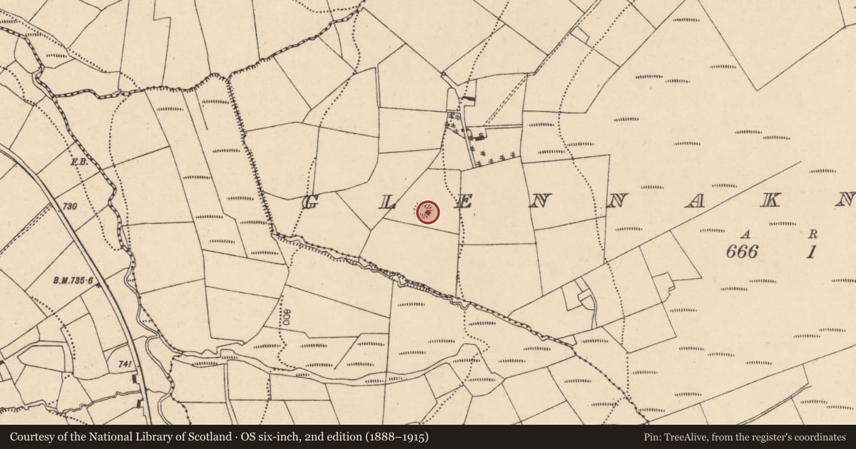 Ordnance Survey six-inch map, 2nd edition (1888–1915) covering the location of Souterrain, Glennaknockane, County Cork, with a pin at the register's coordinates