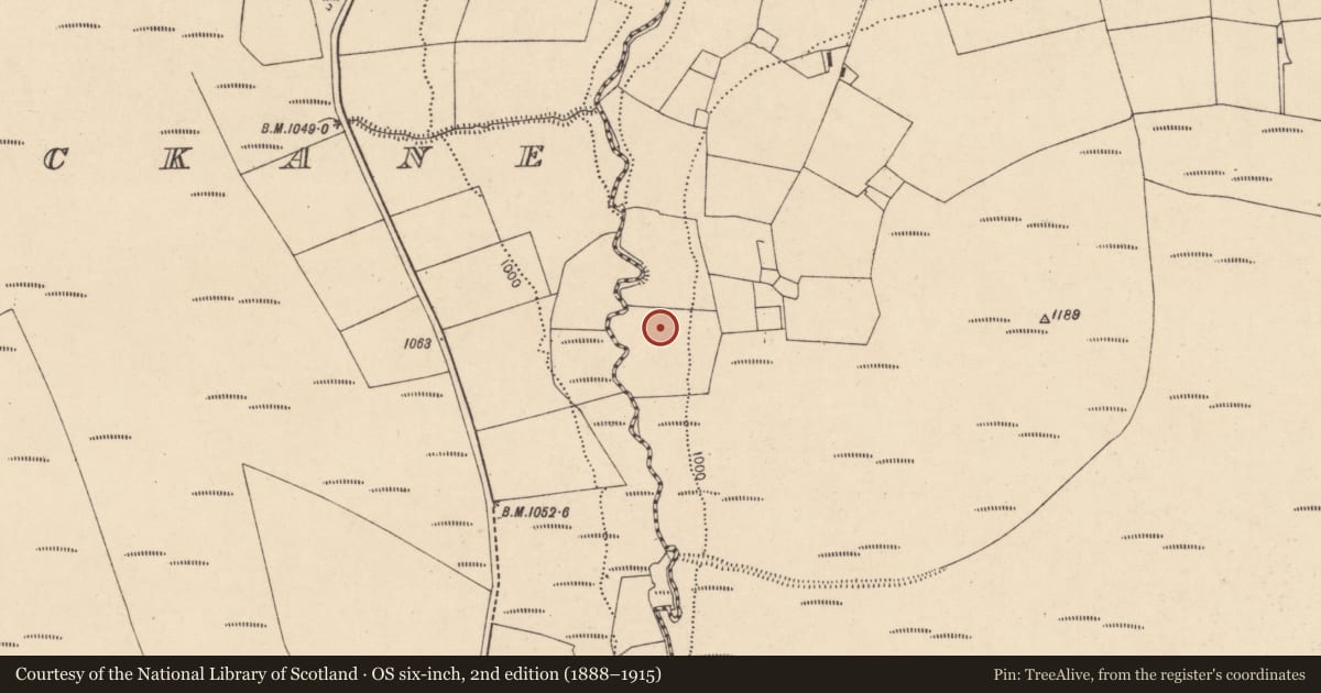 Ordnance Survey six-inch map, 2nd edition (1888–1915) covering the location of Mass-rock, Meentinny West, County Cork, with a pin at the register's coordinates