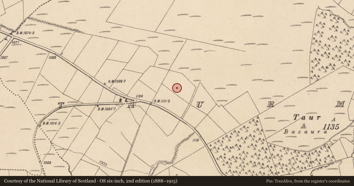 Ordnance Survey six-inch map, 2nd edition (1888–1915) covering the location of Burial ground, Taur More, County Cork, with a pin at the register's coordinates