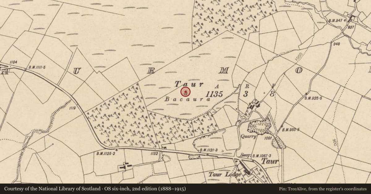 Ordnance Survey six-inch map, 2nd edition (1888–1915) covering the location of Cairn - unclassified, Taur More, County Cork, with a pin at the register's coordinates