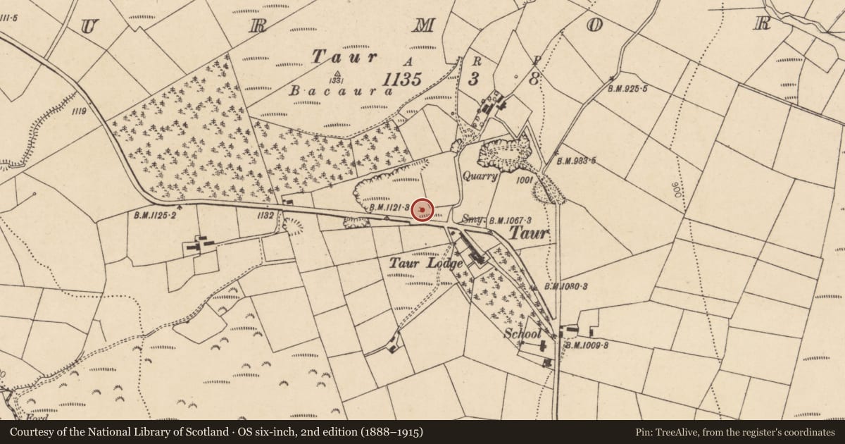 Ordnance Survey six-inch map, 2nd edition (1888–1915) covering the location of Kiln - lime, Taur More, County Cork, with a pin at the register's coordinates