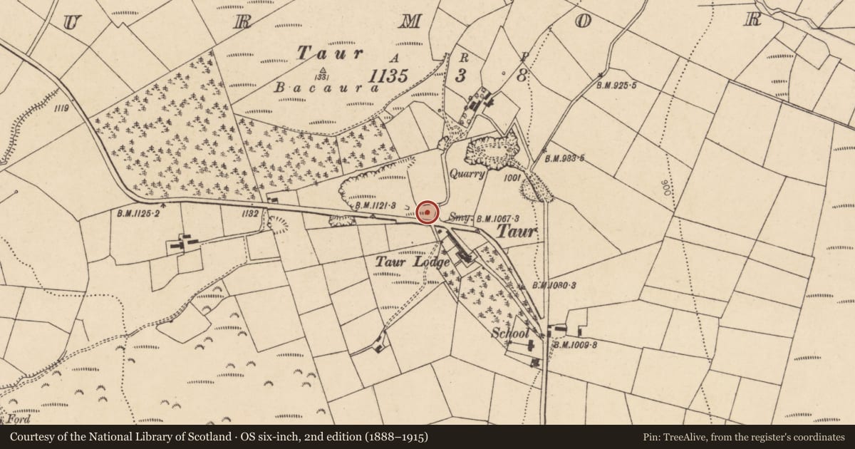 Ordnance Survey six-inch map, 2nd edition (1888–1915) covering the location of Headstone, Taur More, County Cork, with a pin at the register's coordinates