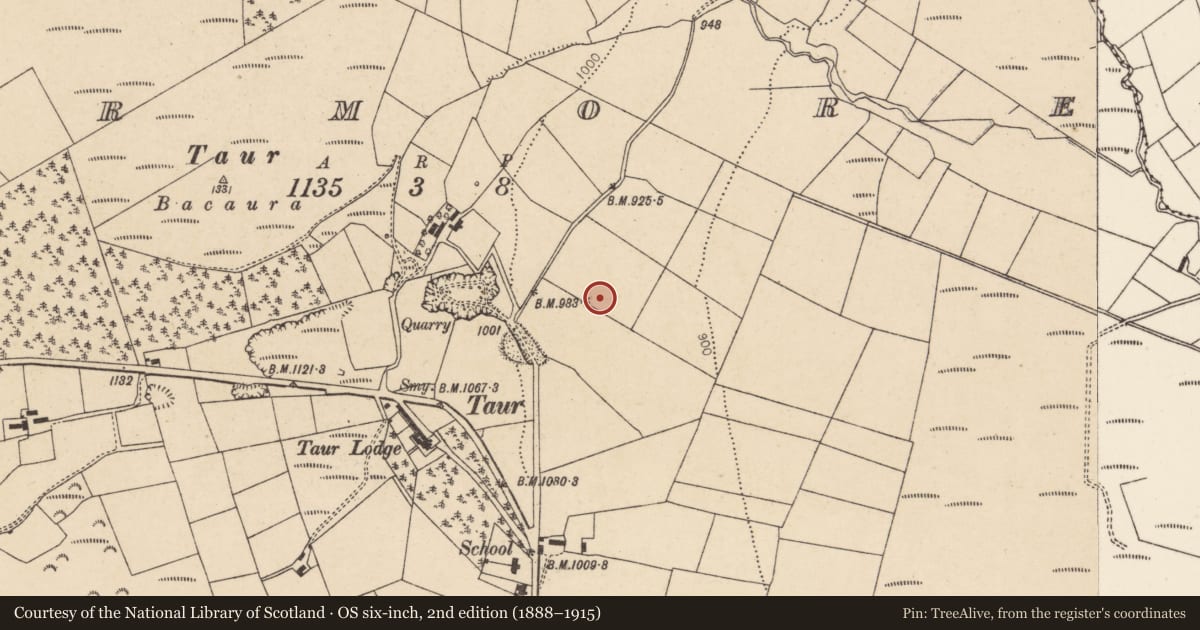 Ordnance Survey six-inch map, 2nd edition (1888–1915) covering the location of Ringfort - rath, Taur More, County Cork, with a pin at the register's coordinates