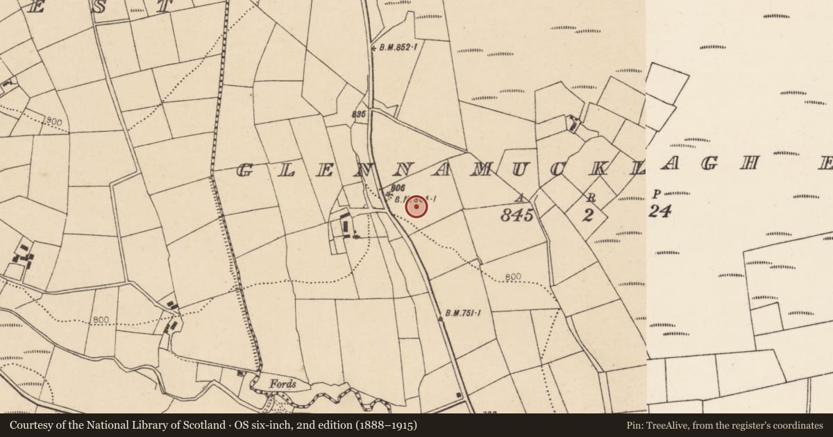 Ordnance Survey six-inch map, 2nd edition (1888–1915) covering the location of Ringfort - rath, Glennamucklagh East, County Cork, with a pin at the register's coordinates