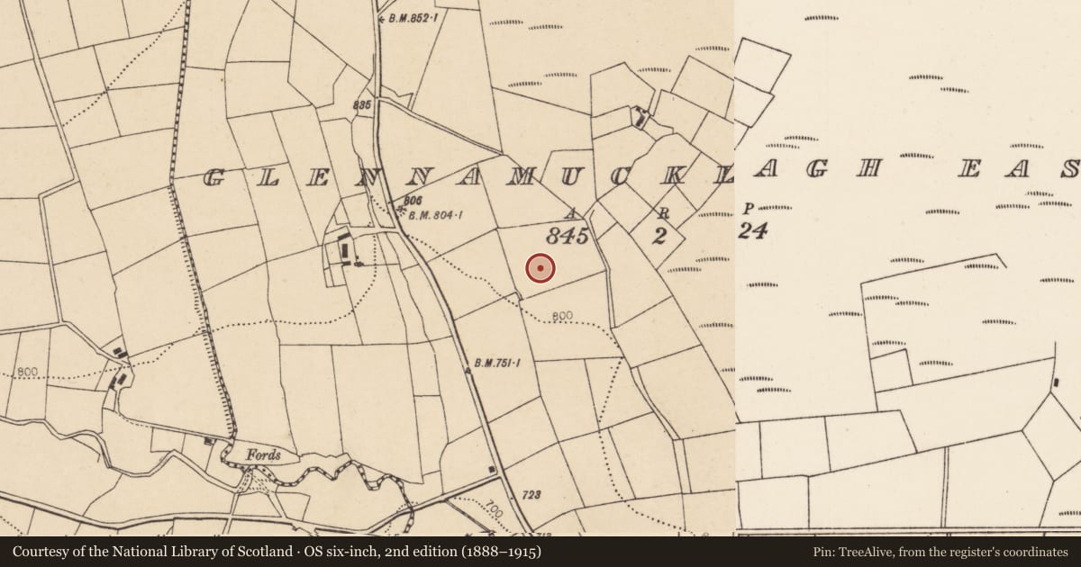 Ordnance Survey six-inch map, 2nd edition (1888–1915) covering the location of Standing stone, Glennamucklagh East, County Cork, with a pin at the register's coordinates