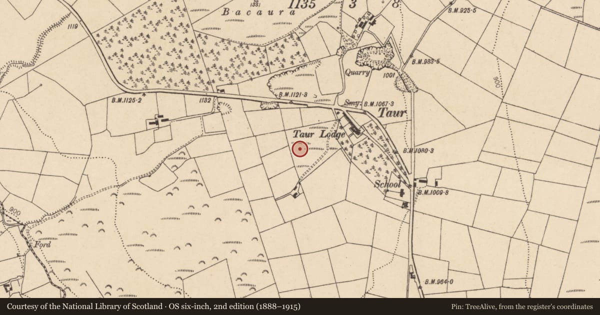 Ordnance Survey six-inch map, 2nd edition (1888–1915) covering the location of Quarry, Taur More, County Cork, with a pin at the register's coordinates
