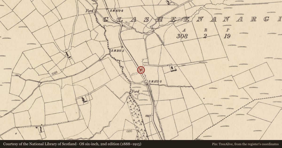 Ordnance Survey six-inch map, 2nd edition (1888–1915) covering the location of Kiln - lime, Glasheenanargid, County Cork, with a pin at the register's coordinates