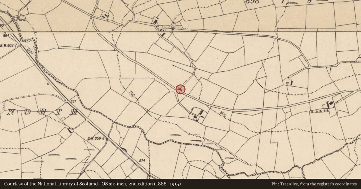 Ordnance Survey six-inch map, 2nd edition (1888–1915) covering the location of Kiln - lime, Glenacarney, County Cork, with a pin at the register's coordinates