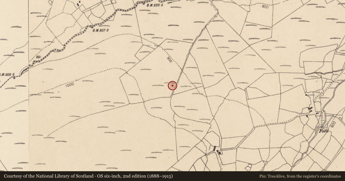 Ordnance Survey six-inch map, 2nd edition (1888–1915) covering the location of Fulacht fia, Glenlahan, County Cork, with a pin at the register's coordinates