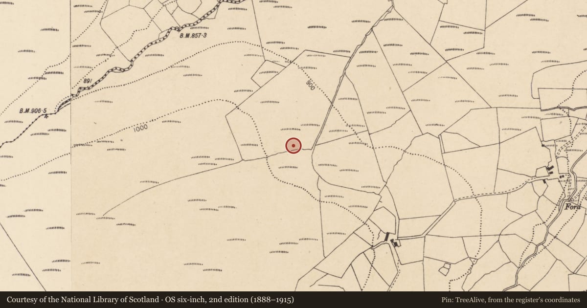 Ordnance Survey six-inch map, 2nd edition (1888–1915) covering the location of Fulacht fia, Glenlahan, County Cork, with a pin at the register's coordinates