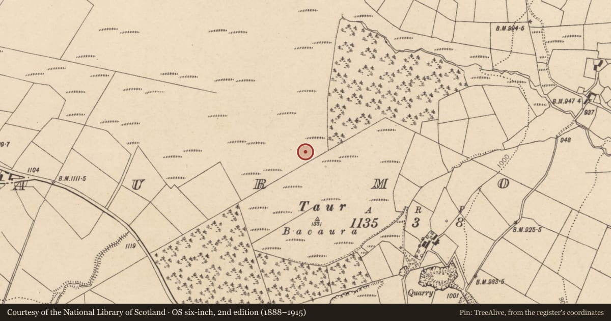 Ordnance Survey six-inch map, 2nd edition (1888–1915) covering the location of Enclosure, Taur More, County Cork, with a pin at the register's coordinates