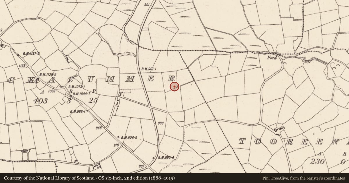 Ordnance Survey six-inch map, 2nd edition (1888–1915) covering the location of Fulacht fia, Knockacummer, County Cork, with a pin at the register's coordinates