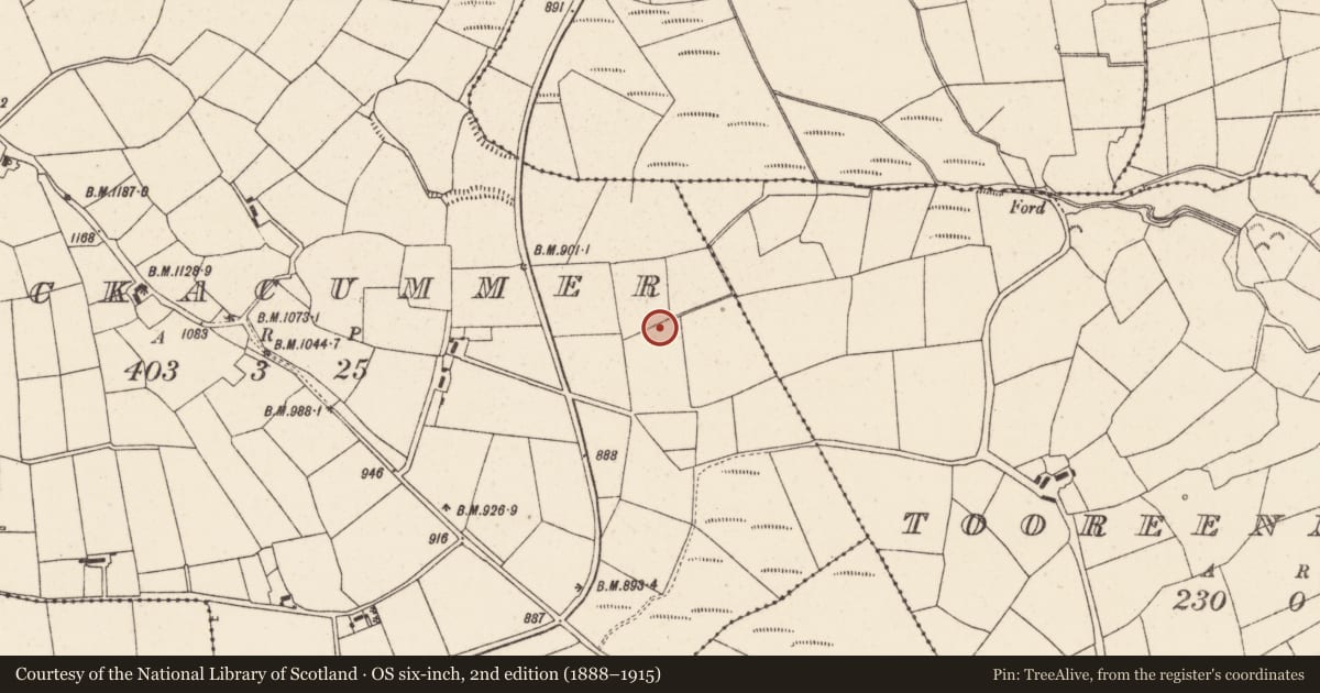 Ordnance Survey six-inch map, 2nd edition (1888–1915) covering the location of Fulacht fia, Knockacummer, County Cork, with a pin at the register's coordinates