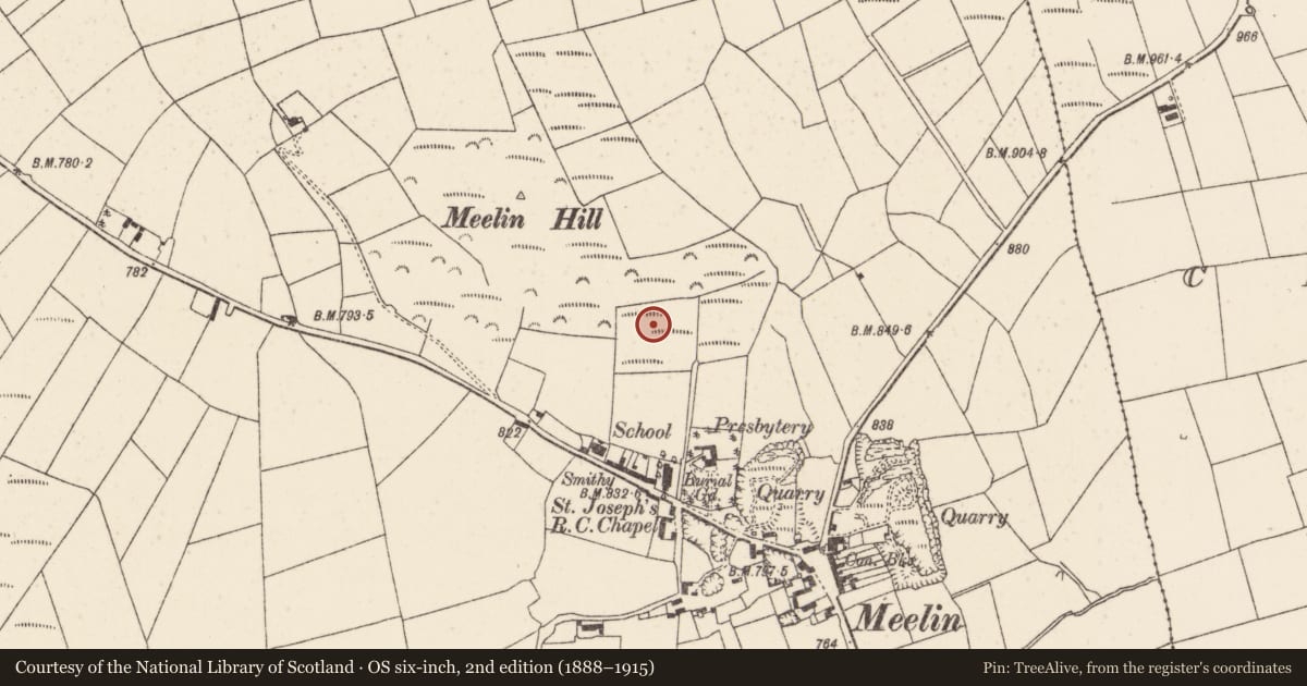Ordnance Survey six-inch map, 2nd edition (1888–1915) covering the location of Standing stone, Knockduff Upper (Duhallow By., Clonfert Par.), County Cork, with a pin at the register's coordinates