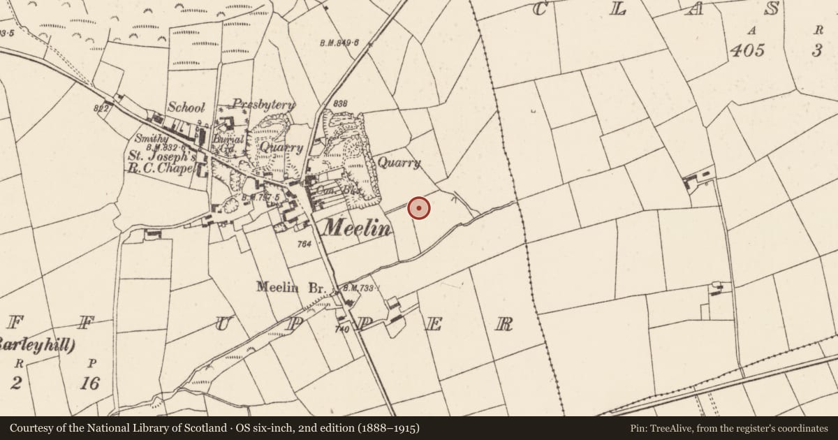 Ordnance Survey six-inch map, 2nd edition (1888–1915) covering the location of Fulacht fia, Knockduff Upper (Duhallow By., Clonfert Par.), County Cork, with a pin at the register's coordinates