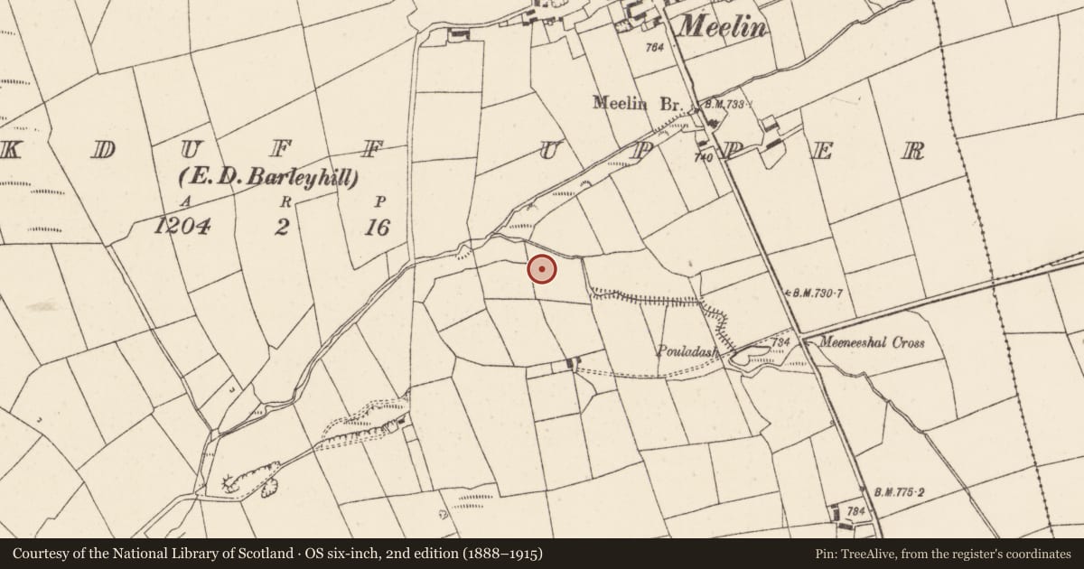 Ordnance Survey six-inch map, 2nd edition (1888–1915) covering the location of Fulacht fia, Knockduff Upper (Duhallow By., Clonfert Par.), County Cork, with a pin at the register's coordinates