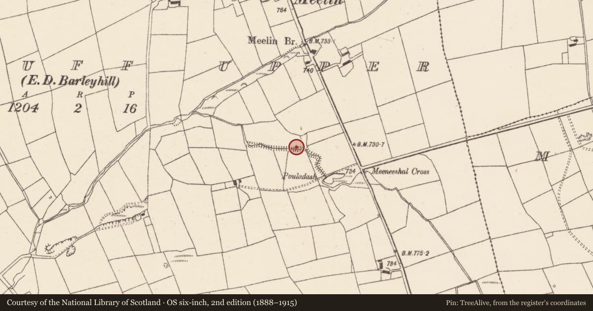 Ordnance Survey six-inch map, 2nd edition (1888–1915) covering the location of Fulacht fia, Knockduff Upper (Duhallow By., Clonfert Par.), County Cork, with a pin at the register's coordinates