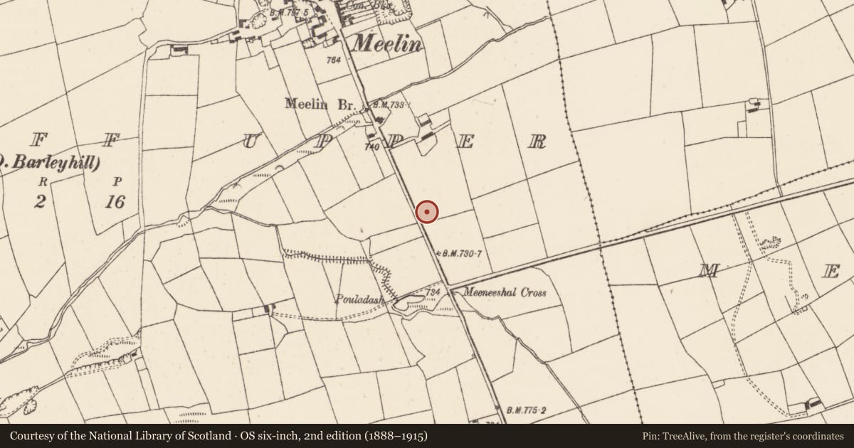 Ordnance Survey six-inch map, 2nd edition (1888–1915) covering the location of Fulacht fia, Knockduff Upper (Duhallow By., Clonfert Par.), County Cork, with a pin at the register's coordinates