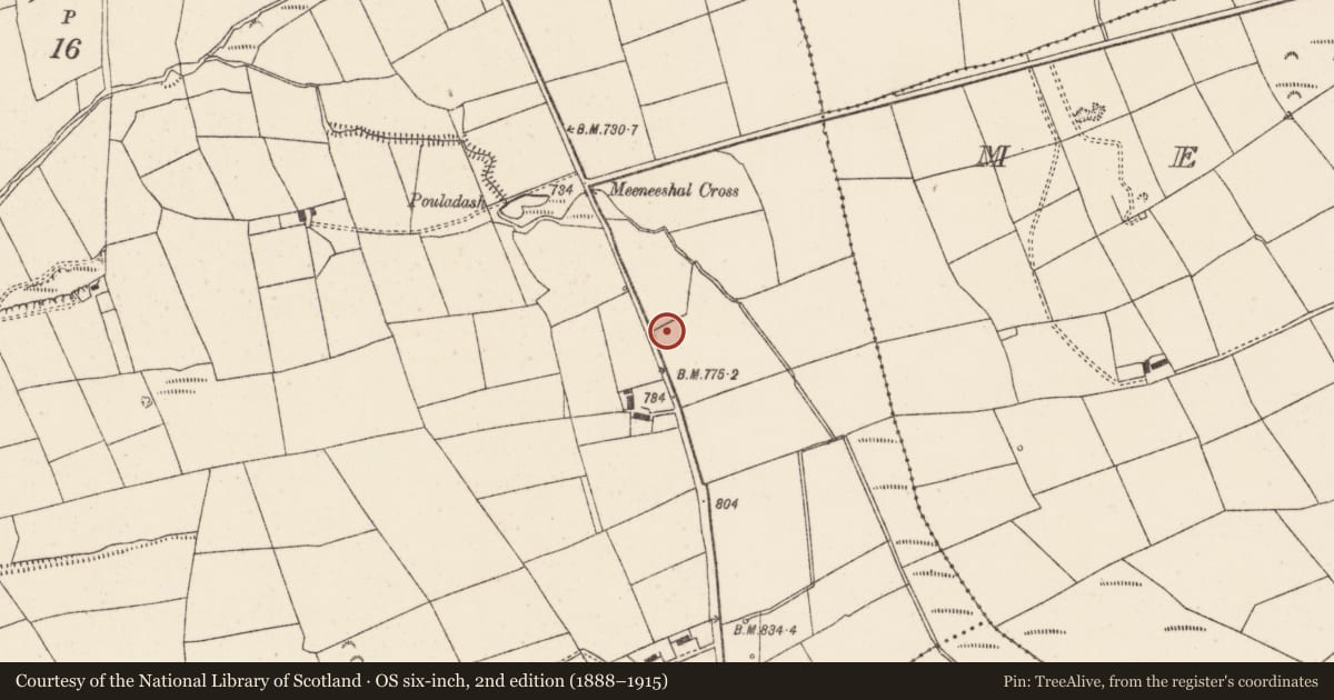 Ordnance Survey six-inch map, 2nd edition (1888–1915) covering the location of Fulacht fia, Knockduff Upper (Duhallow By., Clonfert Par.), County Cork, with a pin at the register's coordinates