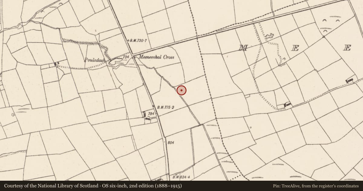 Ordnance Survey six-inch map, 2nd edition (1888–1915) covering the location of Fulacht fia, Knockduff Upper (Duhallow By., Clonfert Par.), County Cork, with a pin at the register's coordinates