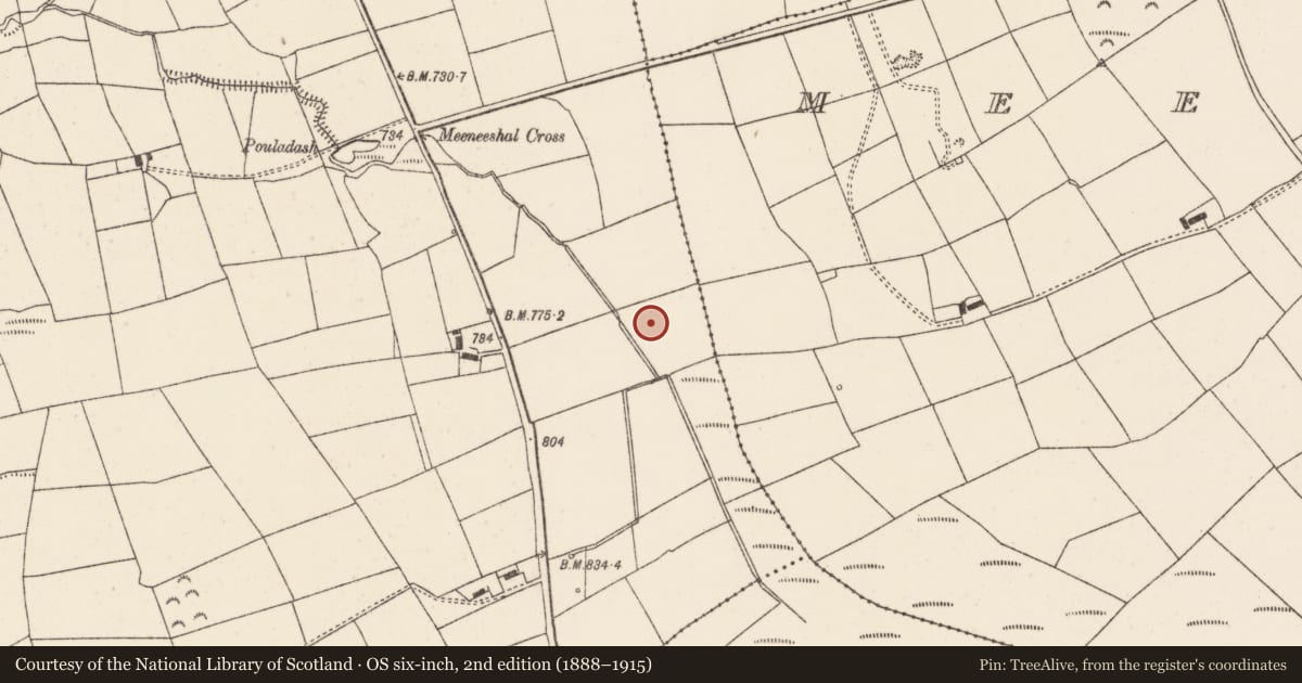 Ordnance Survey six-inch map, 2nd edition (1888–1915) covering the location of Fulacht fia, Knockduff Upper (Duhallow By., Clonfert Par.), County Cork, with a pin at the register's coordinates