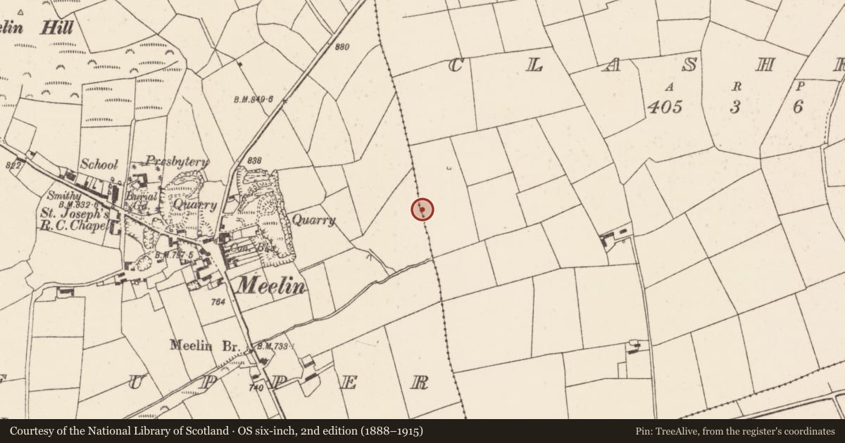 Ordnance Survey six-inch map, 2nd edition (1888–1915) covering the location of Fulacht fia, Knockduff Upper (Duhallow By., Clonfert Par.), County Cork, with a pin at the register's coordinates