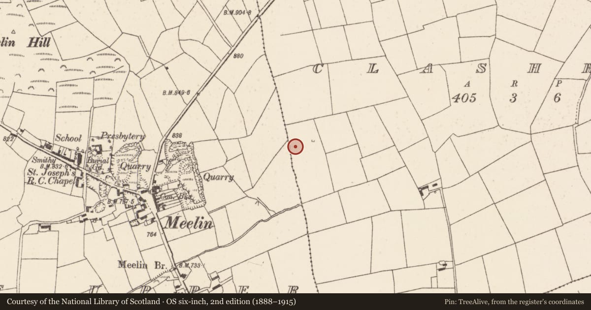 Ordnance Survey six-inch map, 2nd edition (1888–1915) covering the location of Fulacht fia, Clashroe, County Cork, with a pin at the register's coordinates
