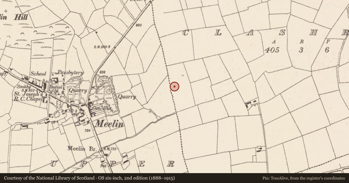 Ordnance Survey six-inch map, 2nd edition (1888–1915) covering the location of Fulacht fia, Clashroe, County Cork, with a pin at the register's coordinates