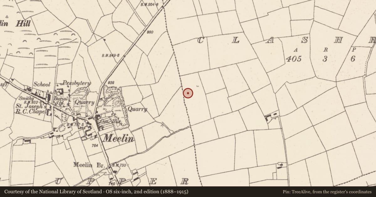 Ordnance Survey six-inch map, 2nd edition (1888–1915) covering the location of Fulacht fia, Clashroe, County Cork, with a pin at the register's coordinates