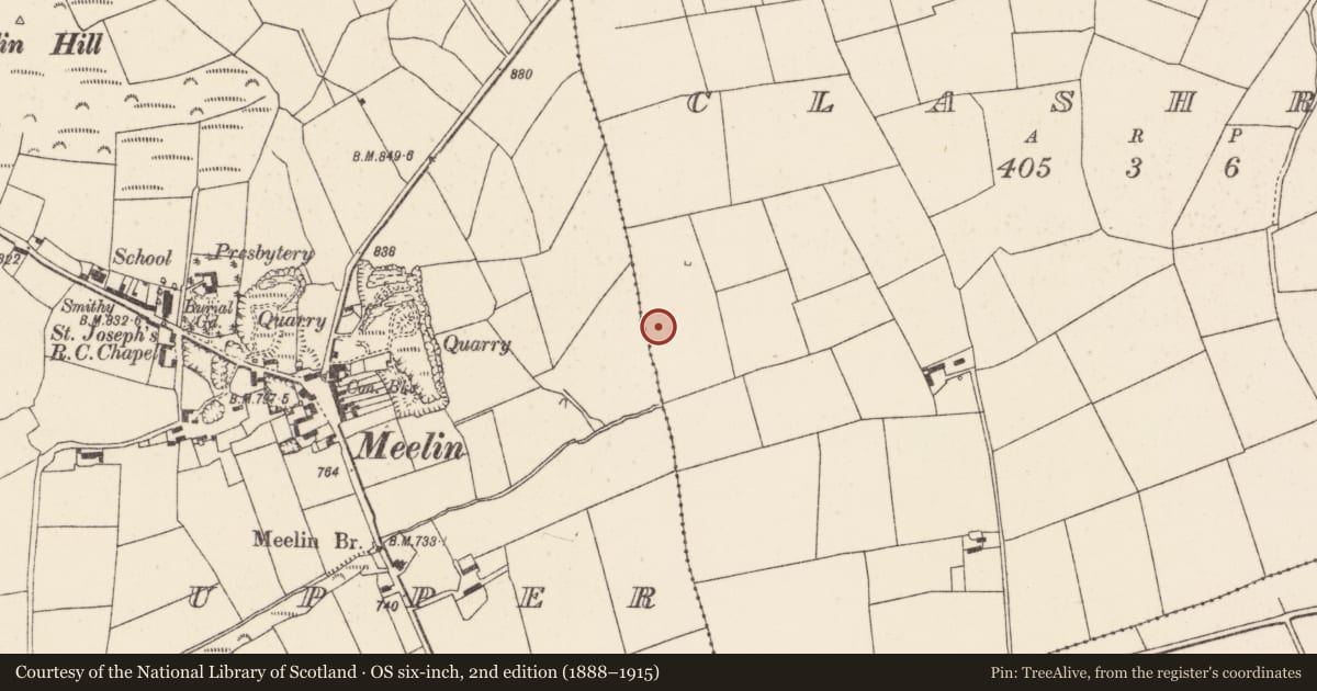 Ordnance Survey six-inch map, 2nd edition (1888–1915) covering the location of Fulacht fia, Clashroe, County Cork, with a pin at the register's coordinates