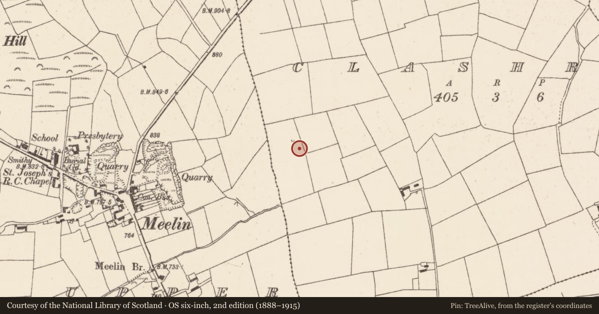 Ordnance Survey six-inch map, 2nd edition (1888–1915) covering the location of Kiln - lime, Clashroe, County Cork, with a pin at the register's coordinates