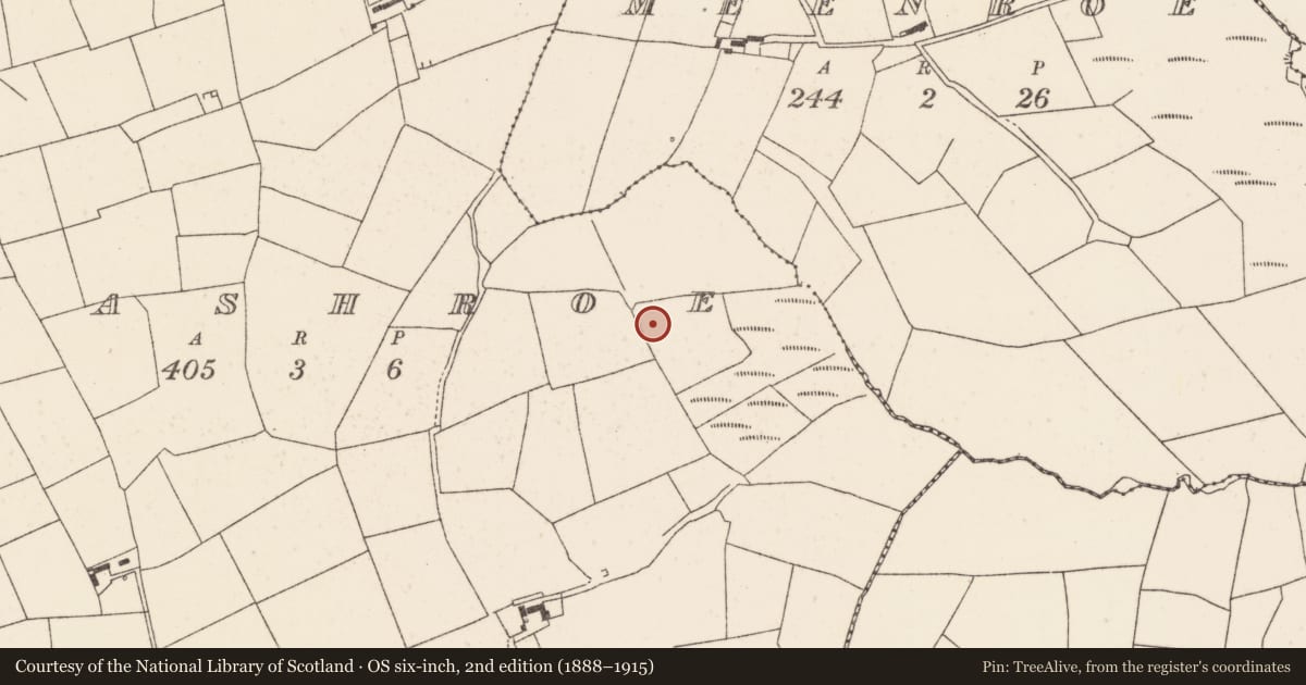 Ordnance Survey six-inch map, 2nd edition (1888–1915) covering the location of Fulacht fia, Clashroe, County Cork, with a pin at the register's coordinates