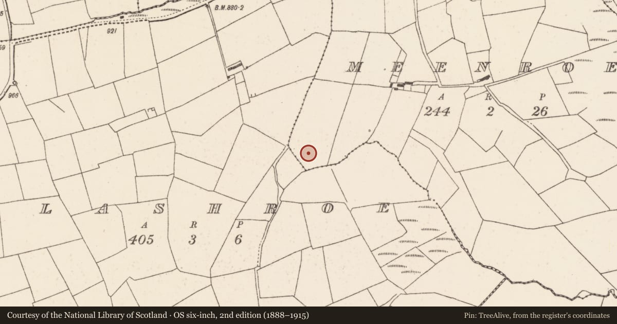 Ordnance Survey six-inch map, 2nd edition (1888–1915) covering the location of Fulacht fia, Meenroe, County Cork, with a pin at the register's coordinates